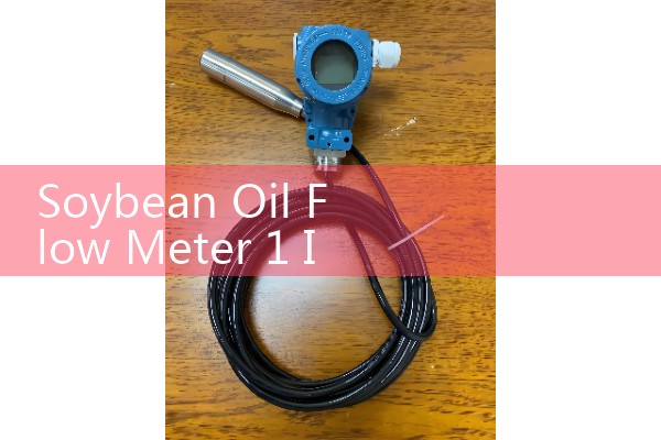 Soybean Oil Flow Meter 1 Inch: Compact Food-Grade Assembly Line Layouts