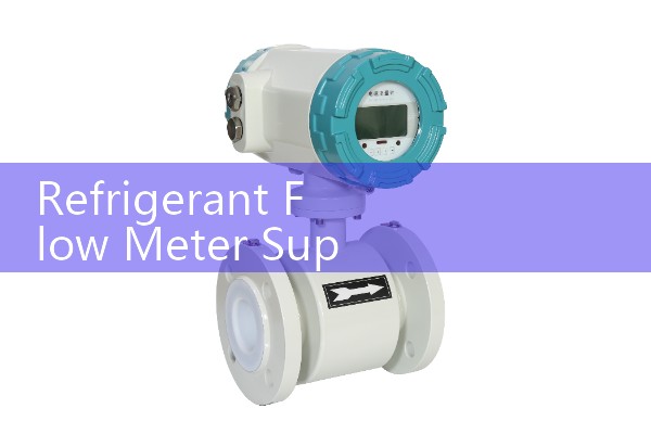 Oil Flow Meter for Pipeline Monitoring: Real-Time Flow Dynamics and Leak Detection