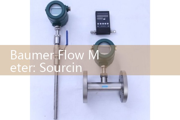 Baumer Flow Meter: Sourcing Hygienic CombiFlow Certified Processing Controls