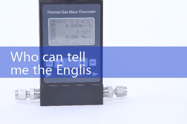 inline water flow meter