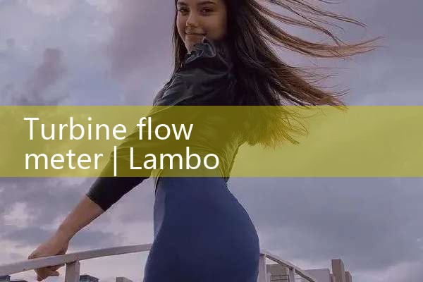 turbine flow meter|mass flowmeter