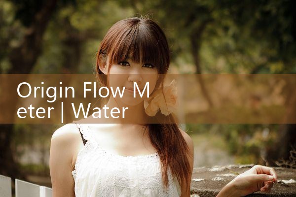 gas flow measurement|mass flowmeter