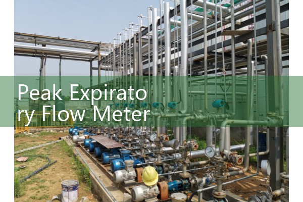 Peak Expiratory Flow Meter Instructions: Proper Breathing and Reset Procedures