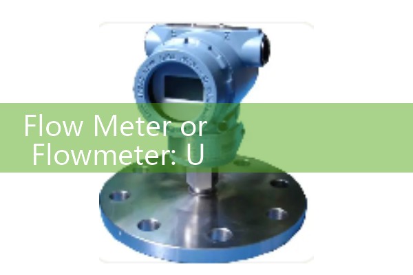 Flow Meter or Flowmeter: Understanding the Spelling Standards in Engineering Specs