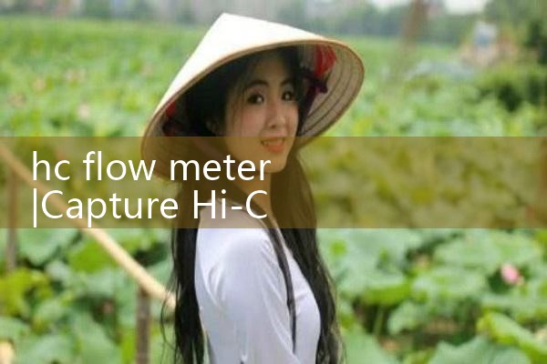 hc flow meter|mass flowmeter