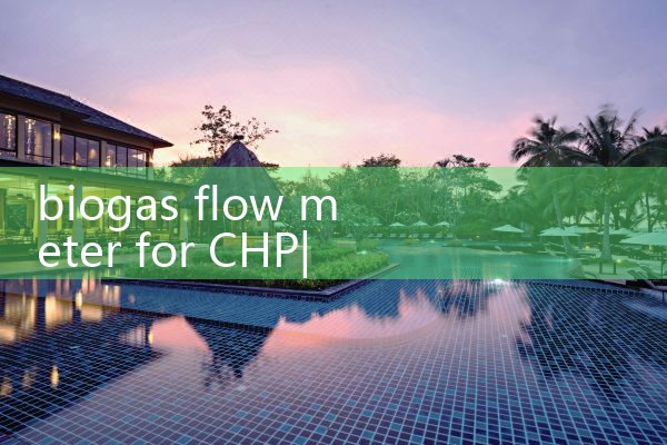 biogas flow meter for CHP|arduino flow meter