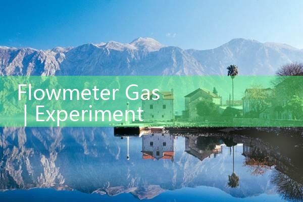 flowmeter gas|mass flowmeter
