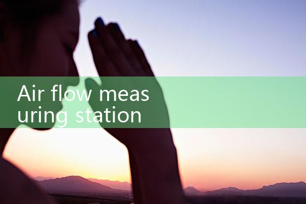 air flow measuring station|mass flowmeter