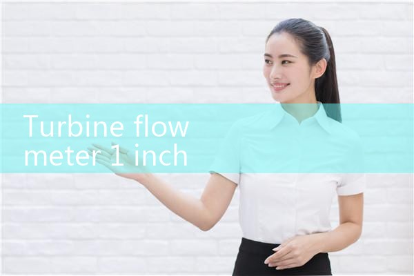 turbine flow meter 1 inch|vortex flow meter