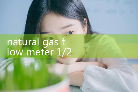 natural gas flow meter 1/2 inch|arduino flow meter