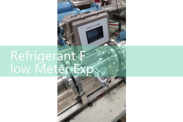 Refrigerant Flow Meter Explosion Proof: Flameproof Housing Rules for Hazardous Gas Zones