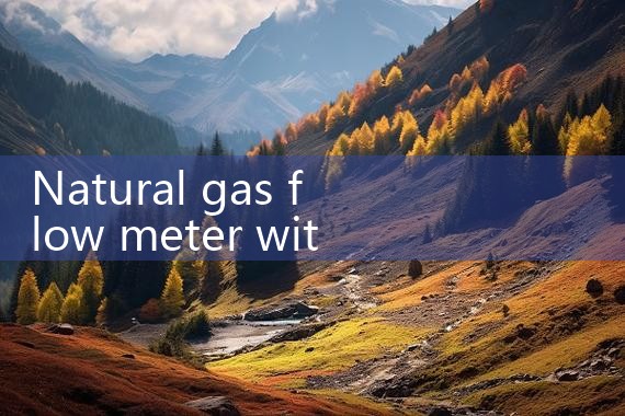 natural gas flow meter with totalizer|arduino flow meter