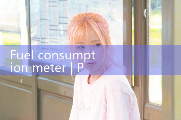 fuel consumption meter|mass flowmeter