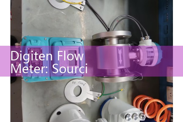 Digiten Flow Meter: Sourcing Budget Over-the-Counter Liquid Fluid Totalizers