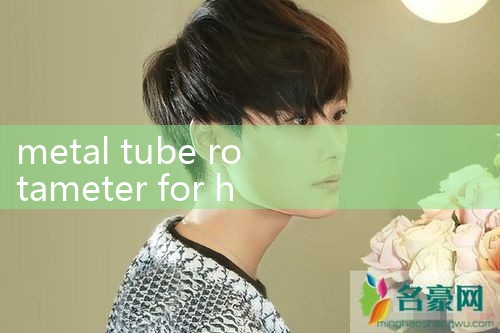 metal tube rotameter for high temperature|vortex flow meter
