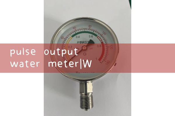 pulse output water meter|venturi meter