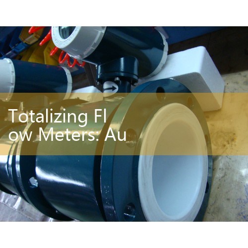 Totalizing Flow Meters: Automated Industrial Batching Control Panel Hardware
