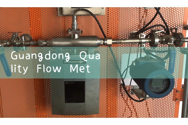 Guangdong Quality Flow Meter Wholesale Manufacturer